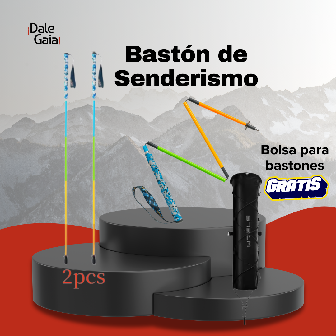 2 Bastones de Senderismo Ultraligeros E2 de Fibra de Carbono / + Gratis  Bolsa para bastones